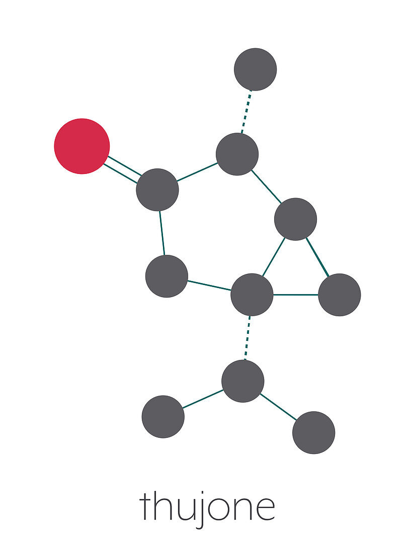 Thujone absinthe molecule, illustration