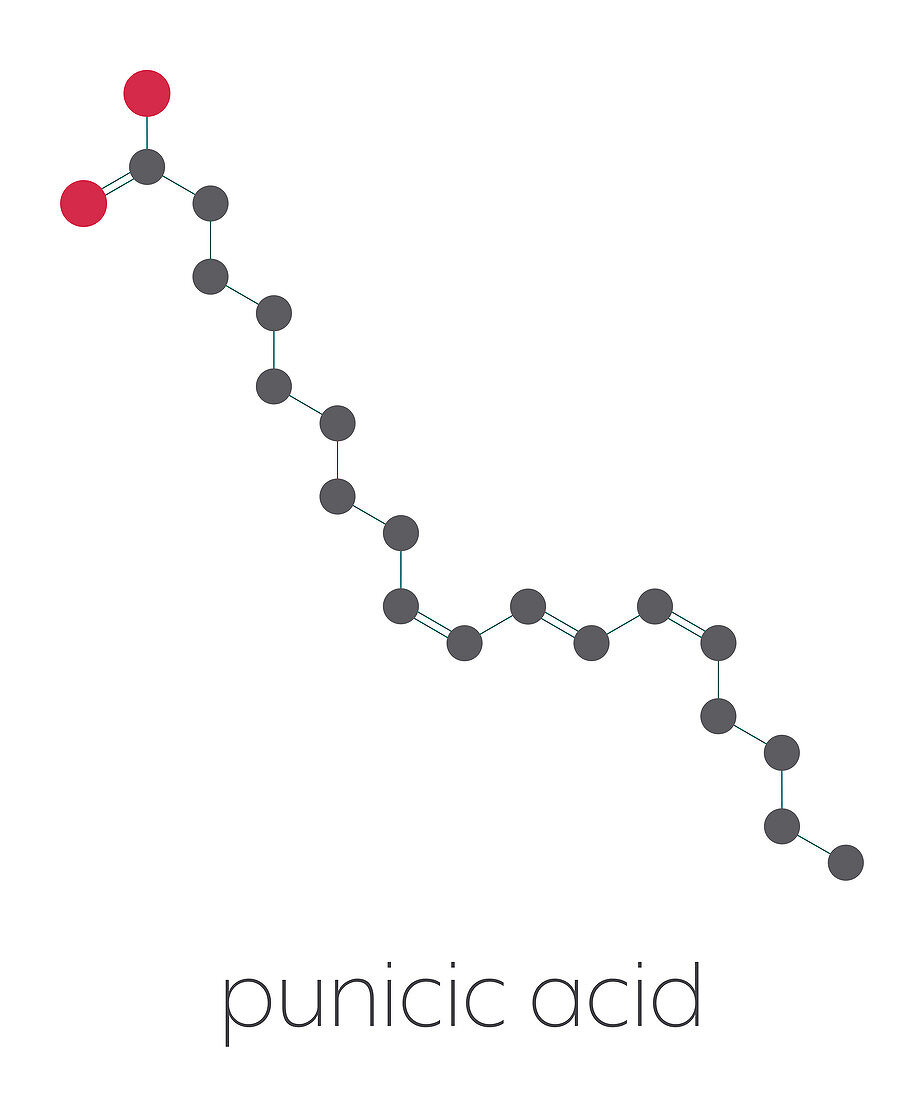 Punicic acid molecule, illustration