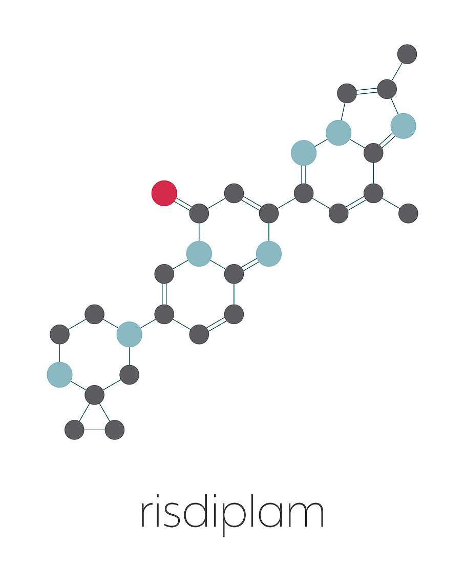 Risdiplam Spinal muscular Atrophy drug molecule