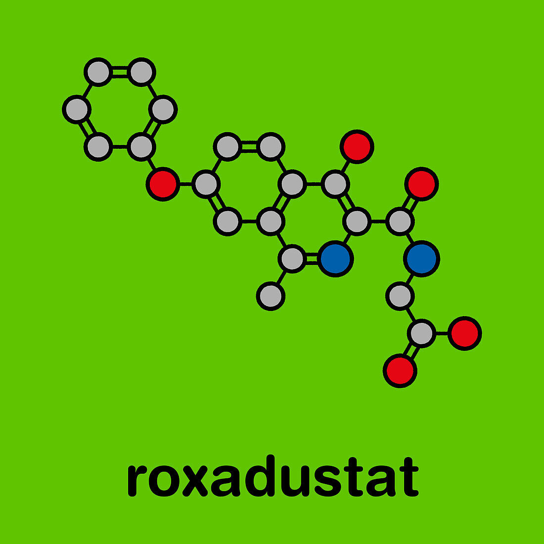 Roxadustat drug molecule, illustration