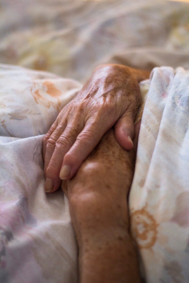 Elderly woman's folded hands