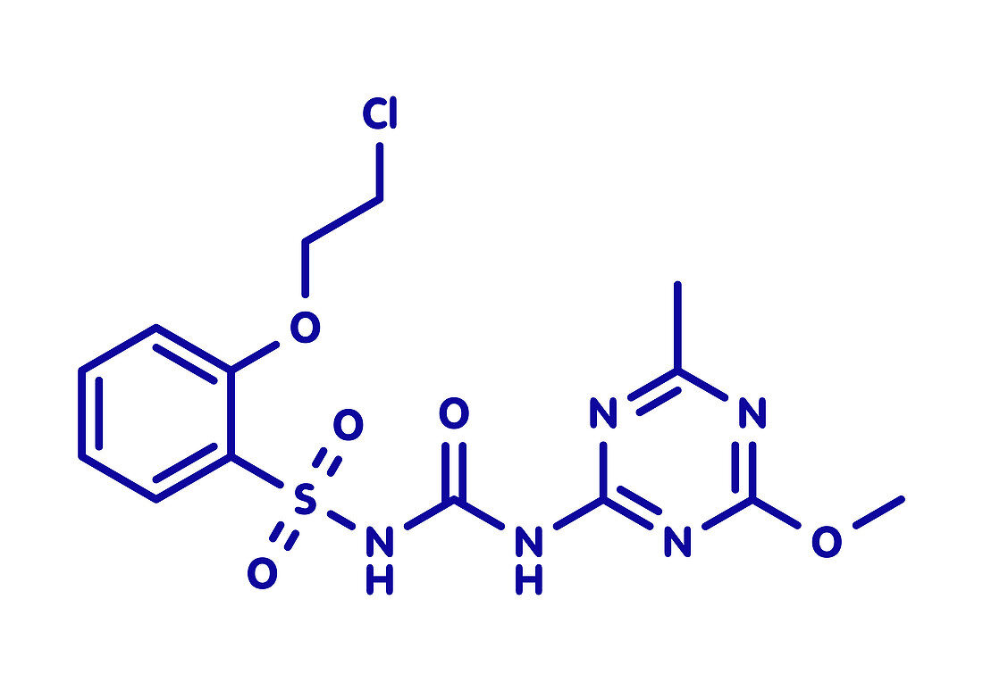 Triasulfuron herbicide molecule, illustration