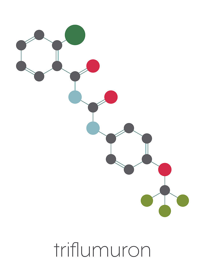 Triflumuron insecticide molecule, illustration