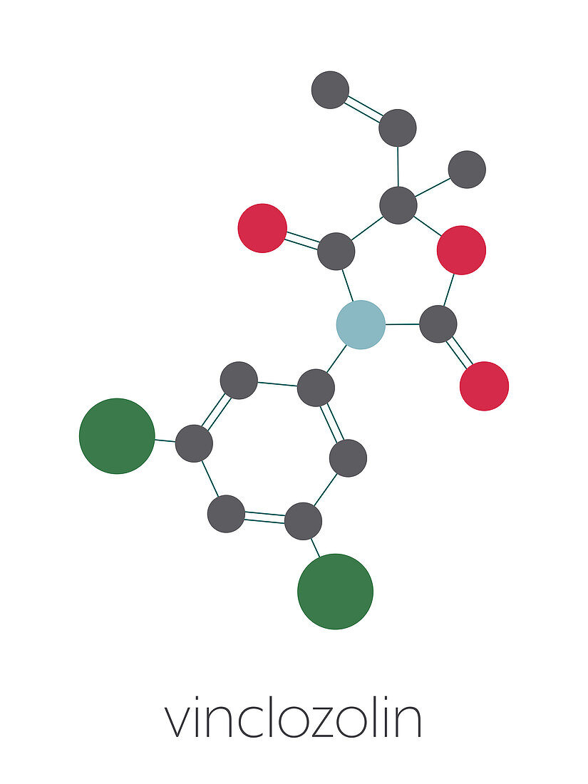 Vinclozolin fungicide molecule, illustration