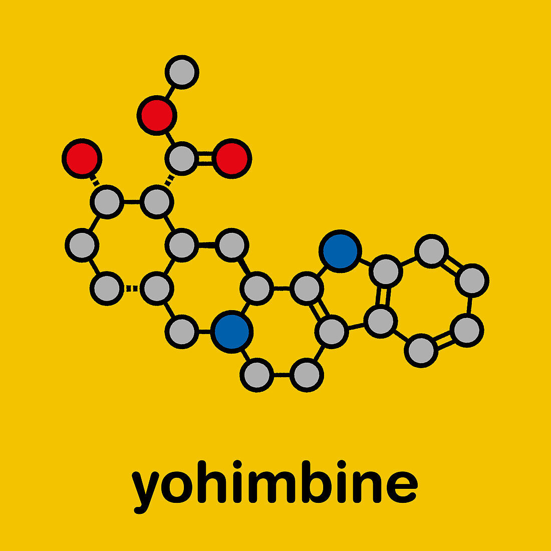 Yohimbine alkaloid molecule, illustration