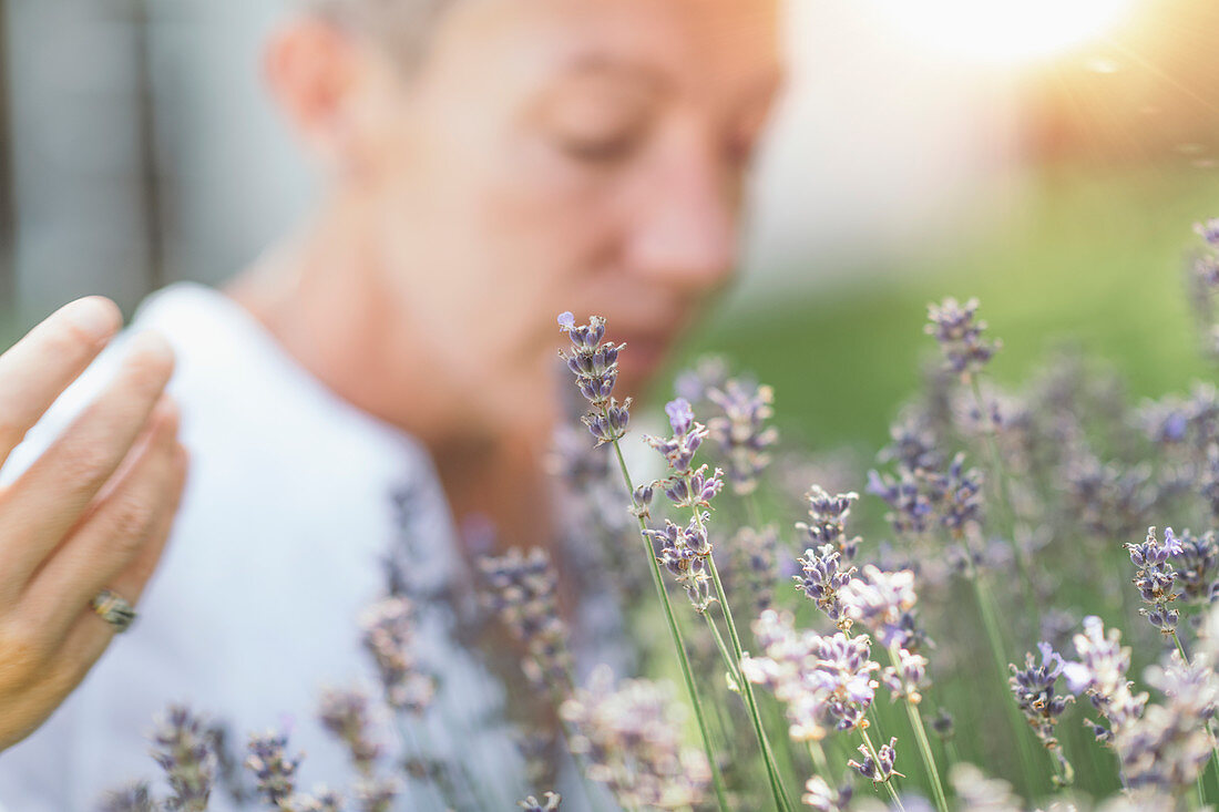 Woman enjoying the scent of lavender flowers