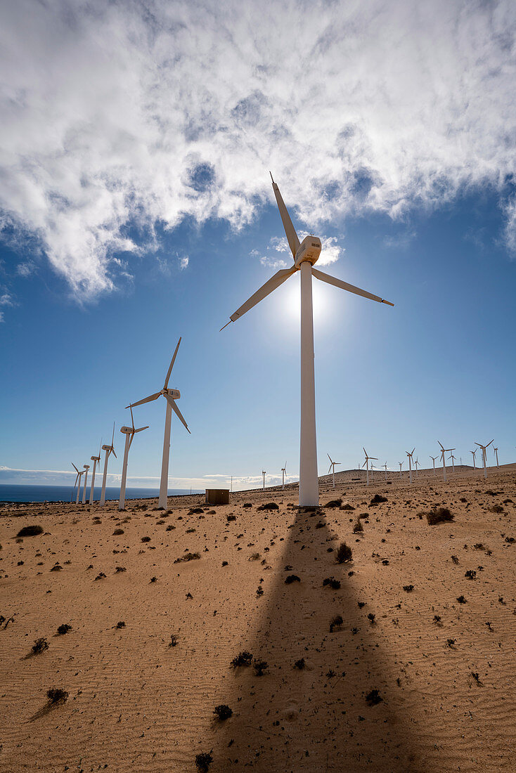 Desert wind farm