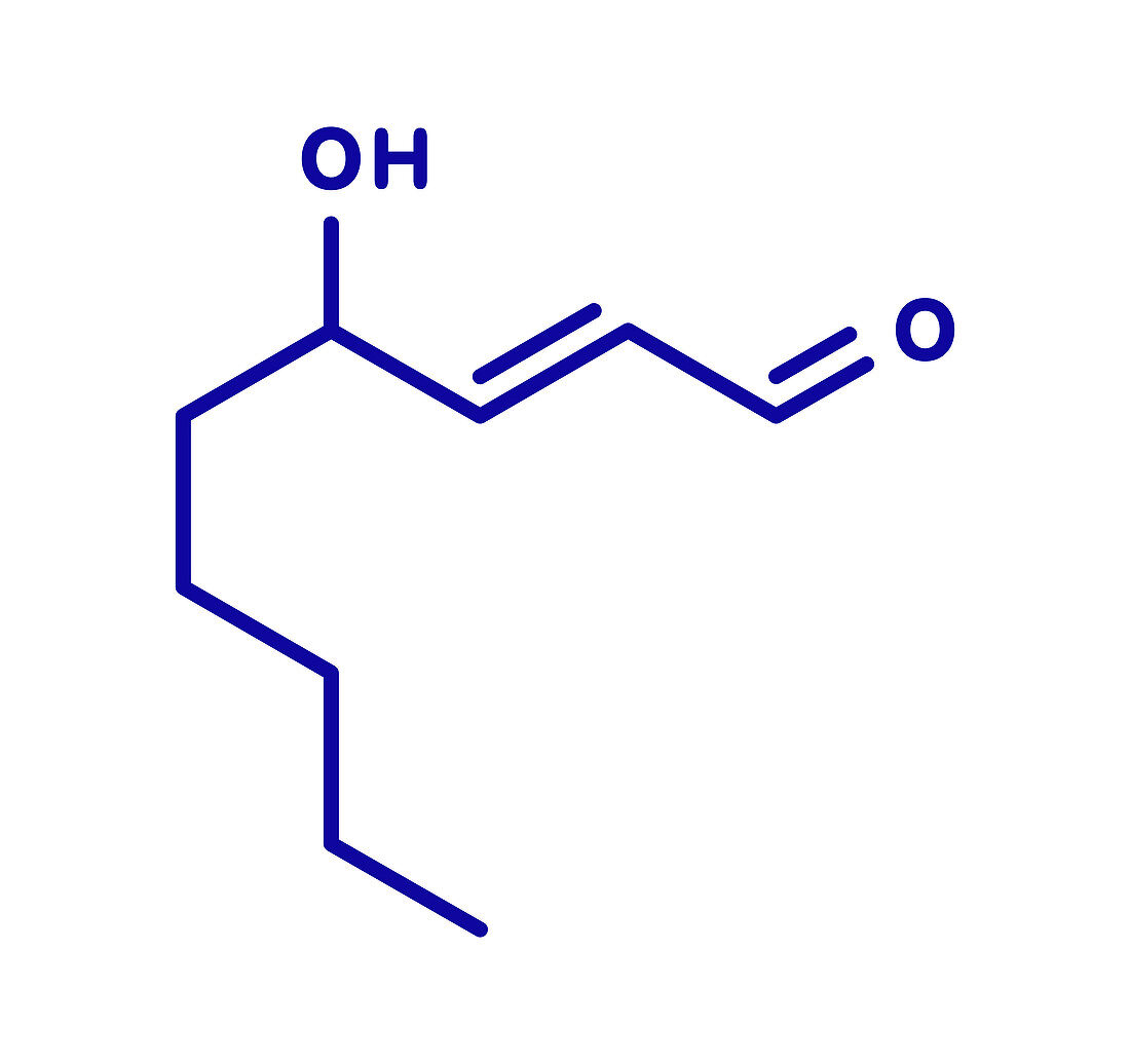 4-Hydroxynonenal molecule, illustration