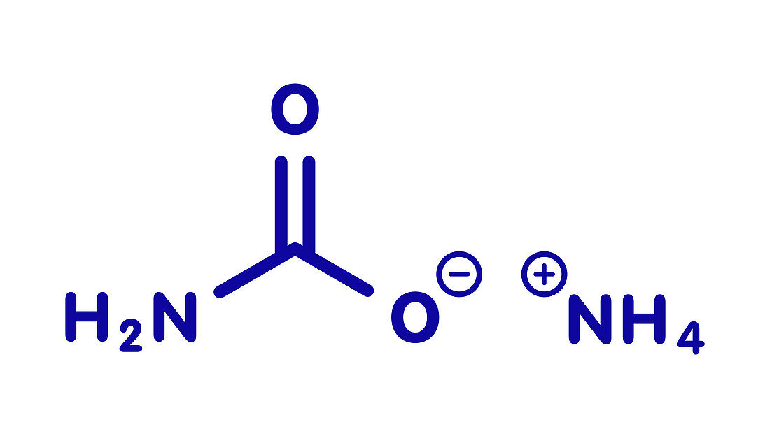 Ammonium carbamate molecule, illustration