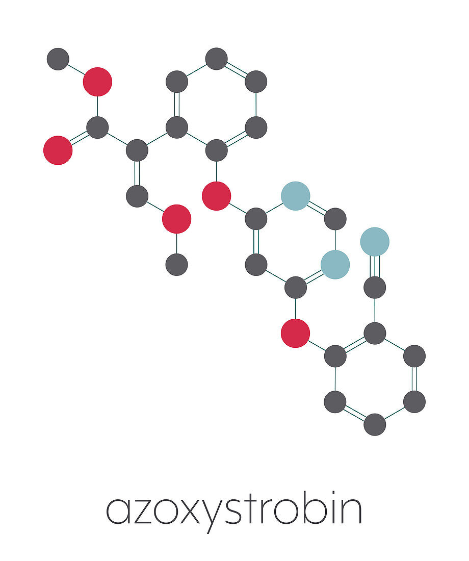 Azoxystrobin fungicide molecule, illustration