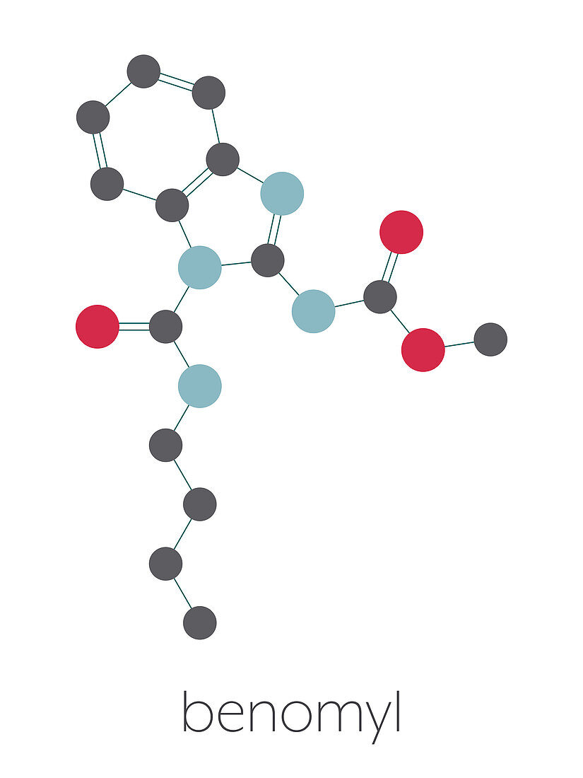 Benomyl fungicide molecule, illustration