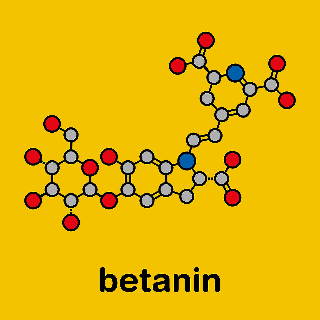 Betanin red plant pigment molecule, illustration
