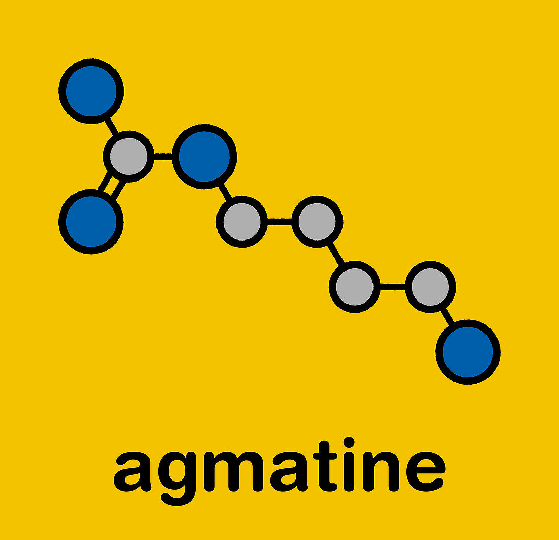 Agmatine molecule, illustration