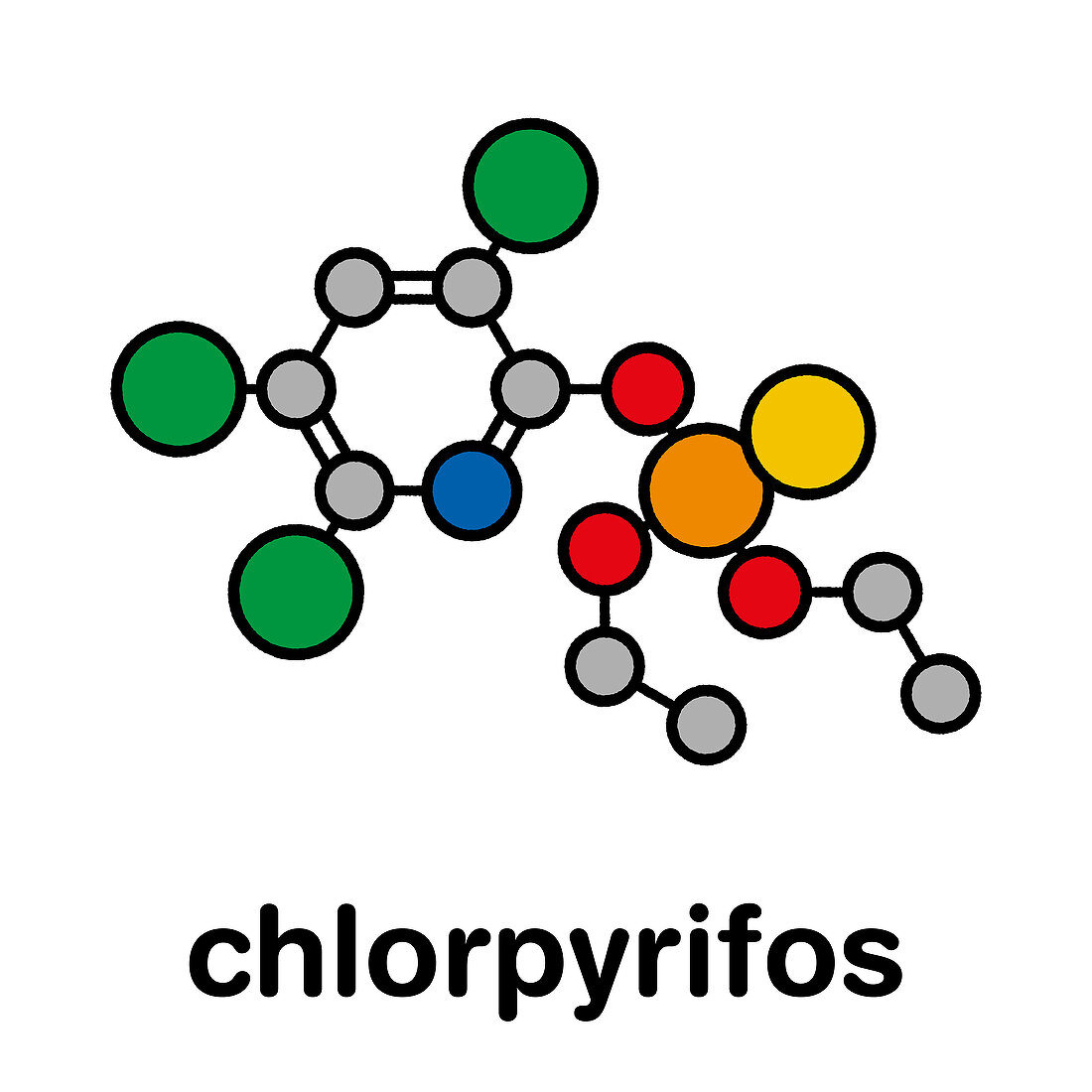 Chlorpyrifos pesticide molecule, illustration