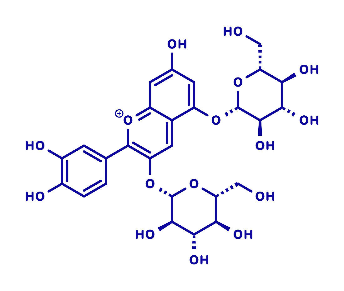 Cyanin molecule, illustration