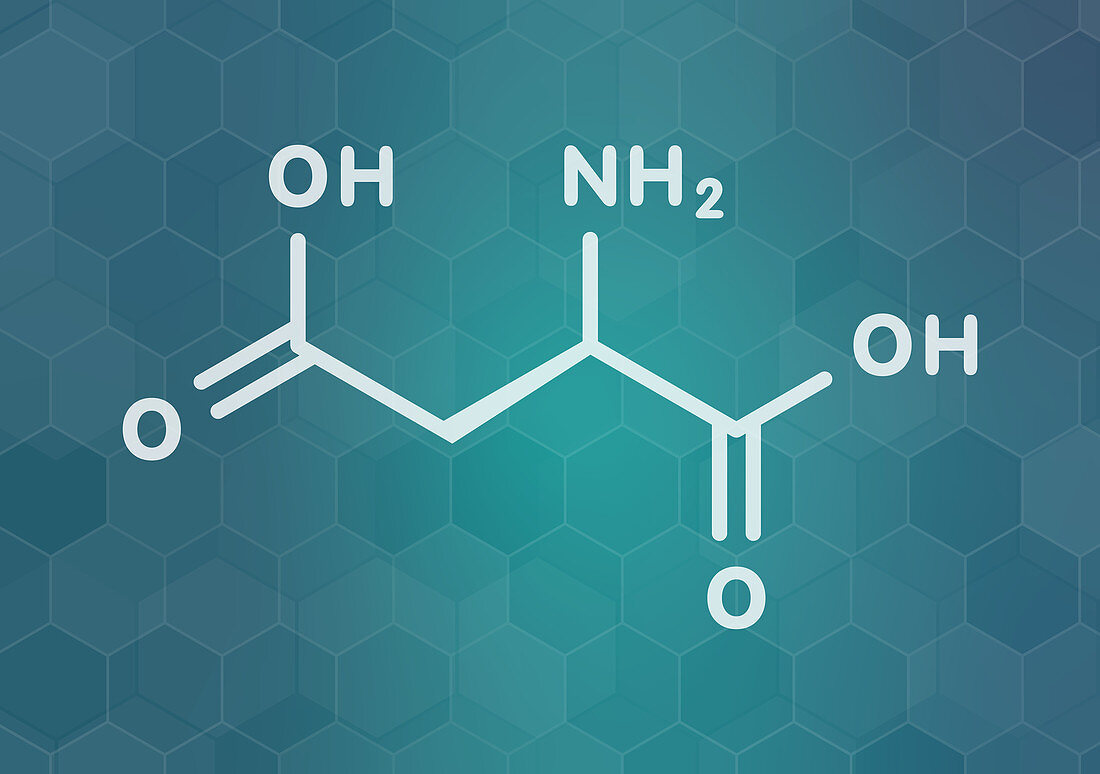 D-aspartic acid amino acid molecule, illustration