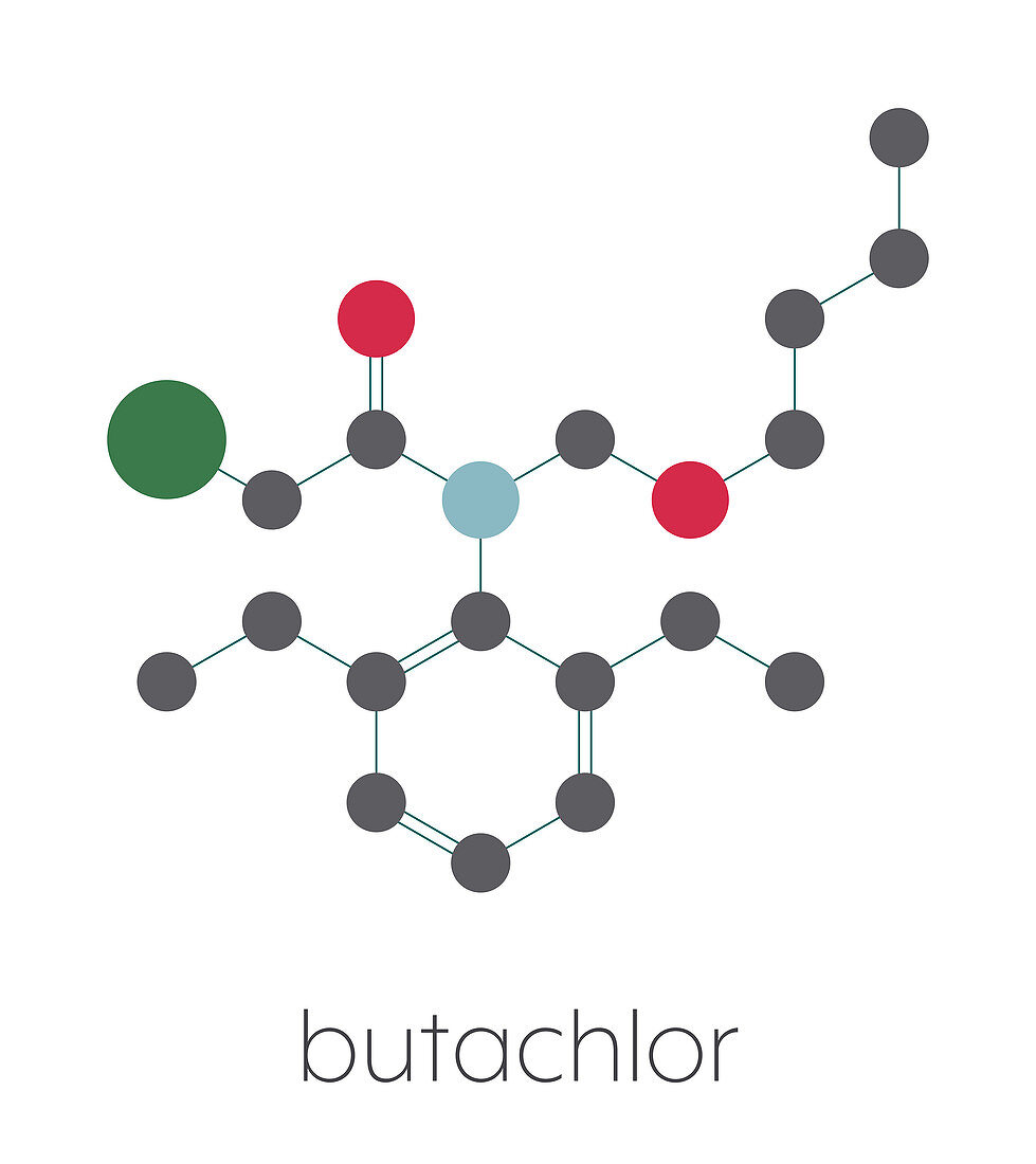 Butachlor herbicide molecule, illustration