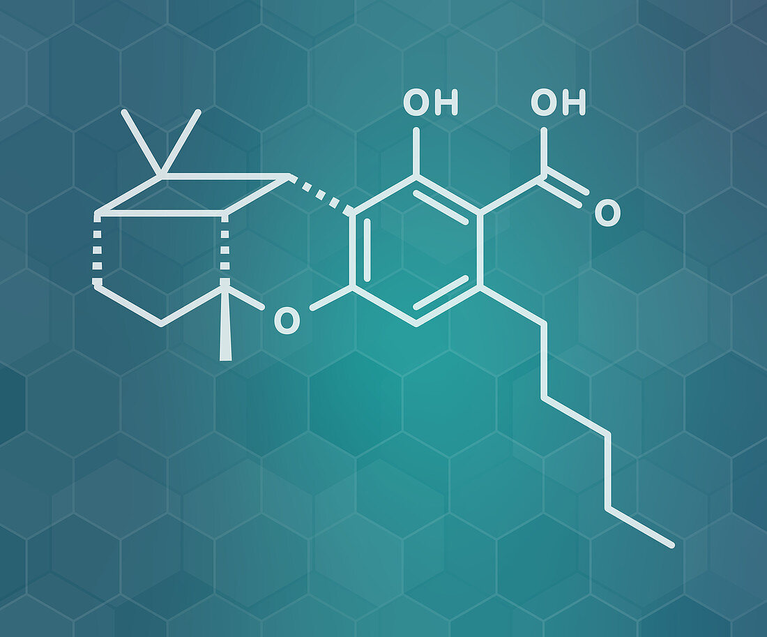 Cannabicyclolic acid cannabinoid molecule, illustration