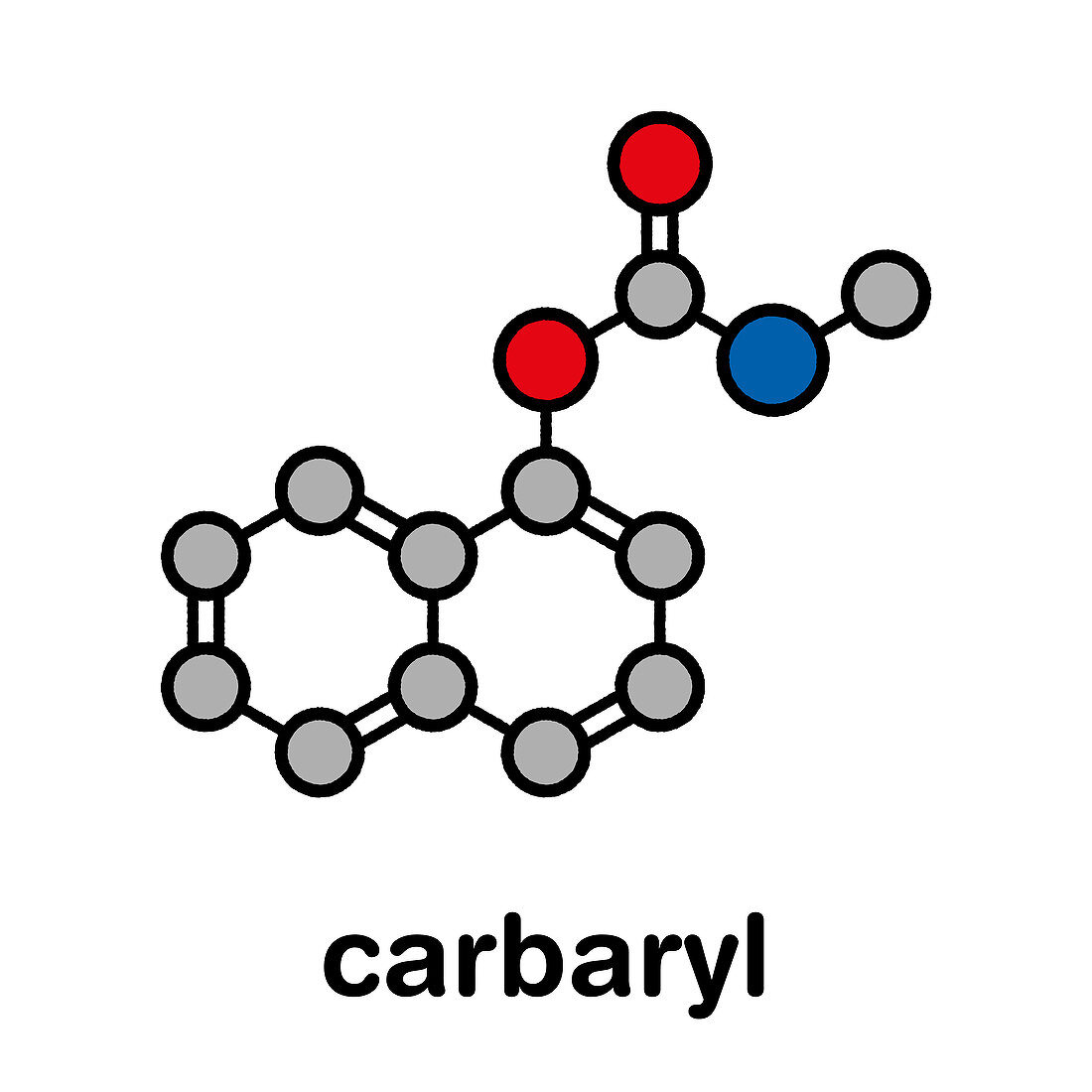 Carbaryl insecticide molecule, illustration