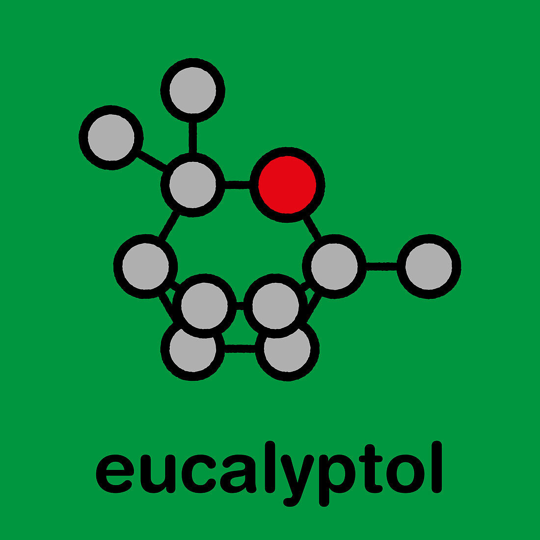 Eucalyptol eucalyptus oil molecule, illustration