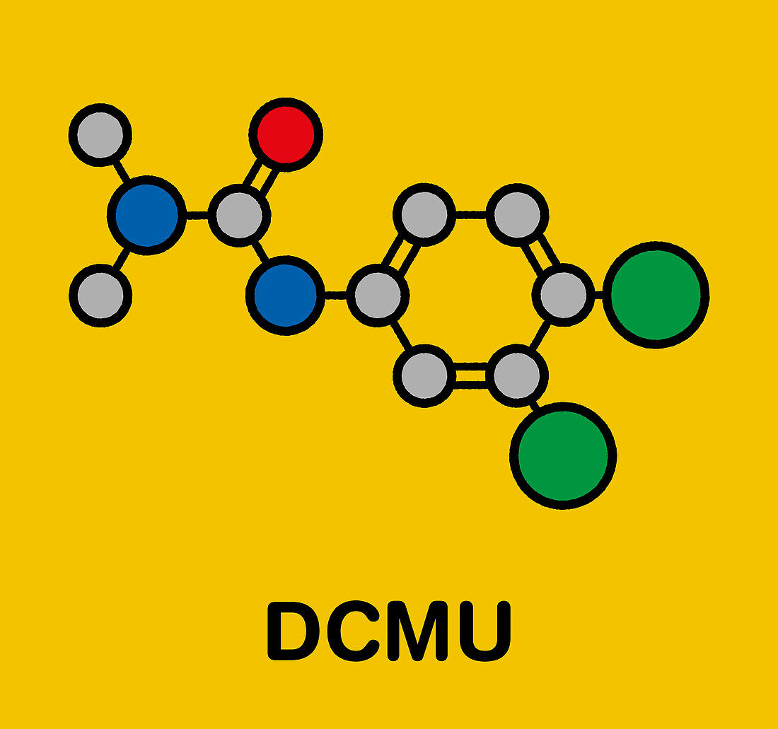 Diuron herbicide molecule, illustration