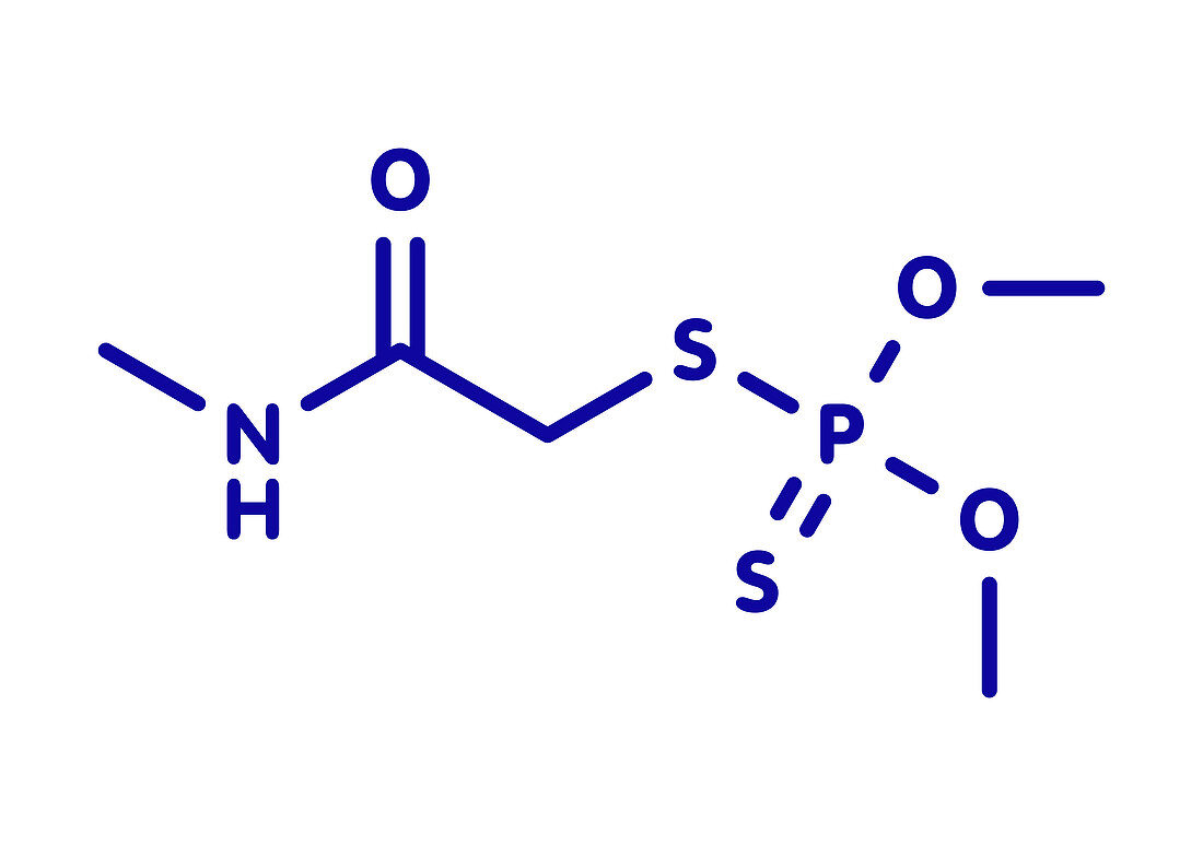 Dimethoate insecticide molecule, illustration