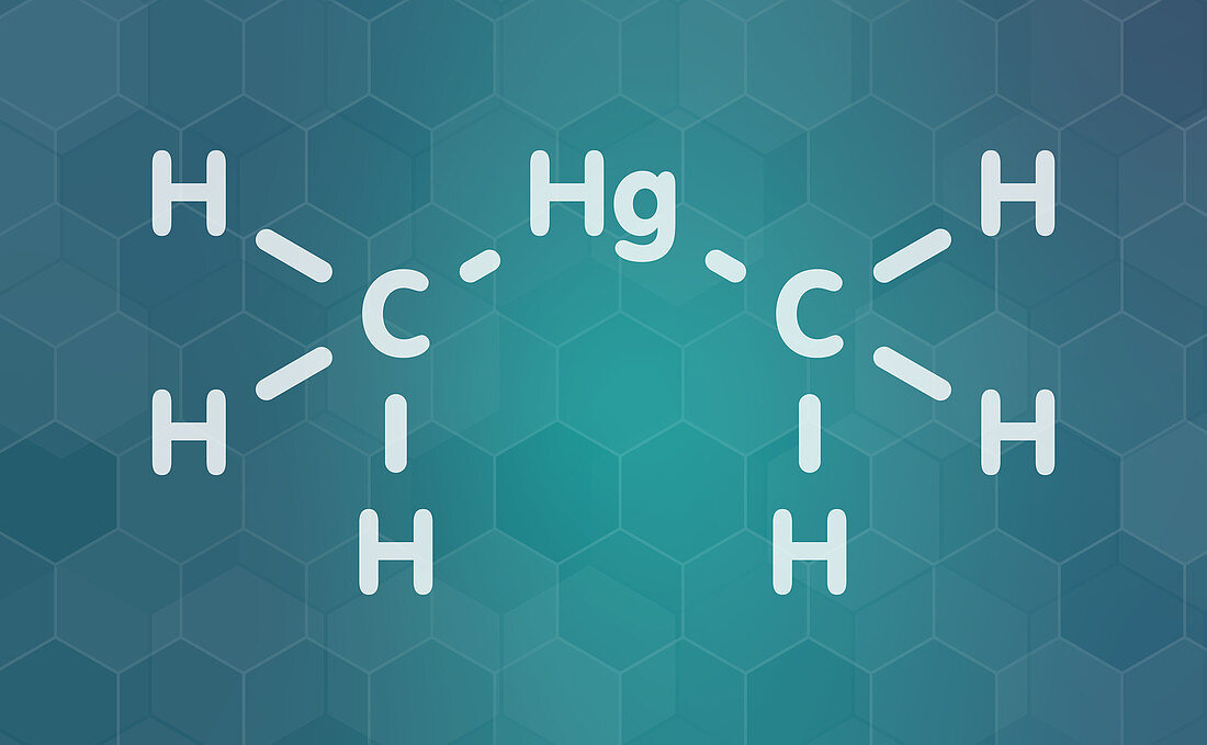 Dimethylmercury molecule, illustration