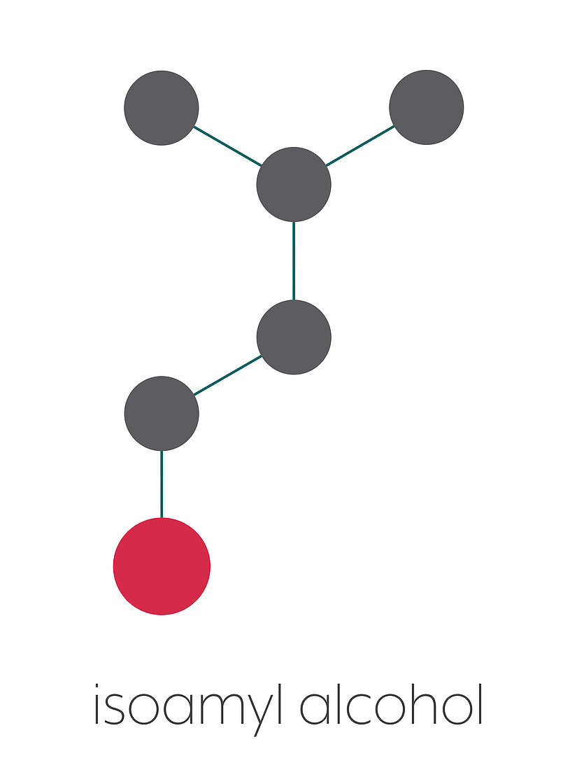 Isoamyl alcohol molecule, illustration