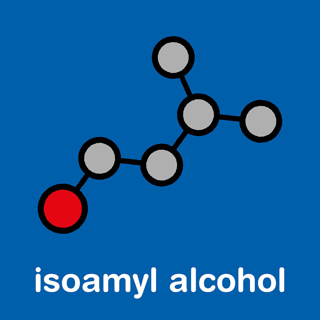 Isoamyl alcohol molecule, illustration