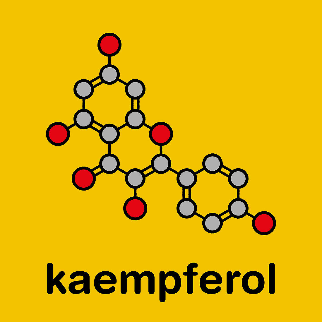 Kaempferol antioxidant molecule, illustration