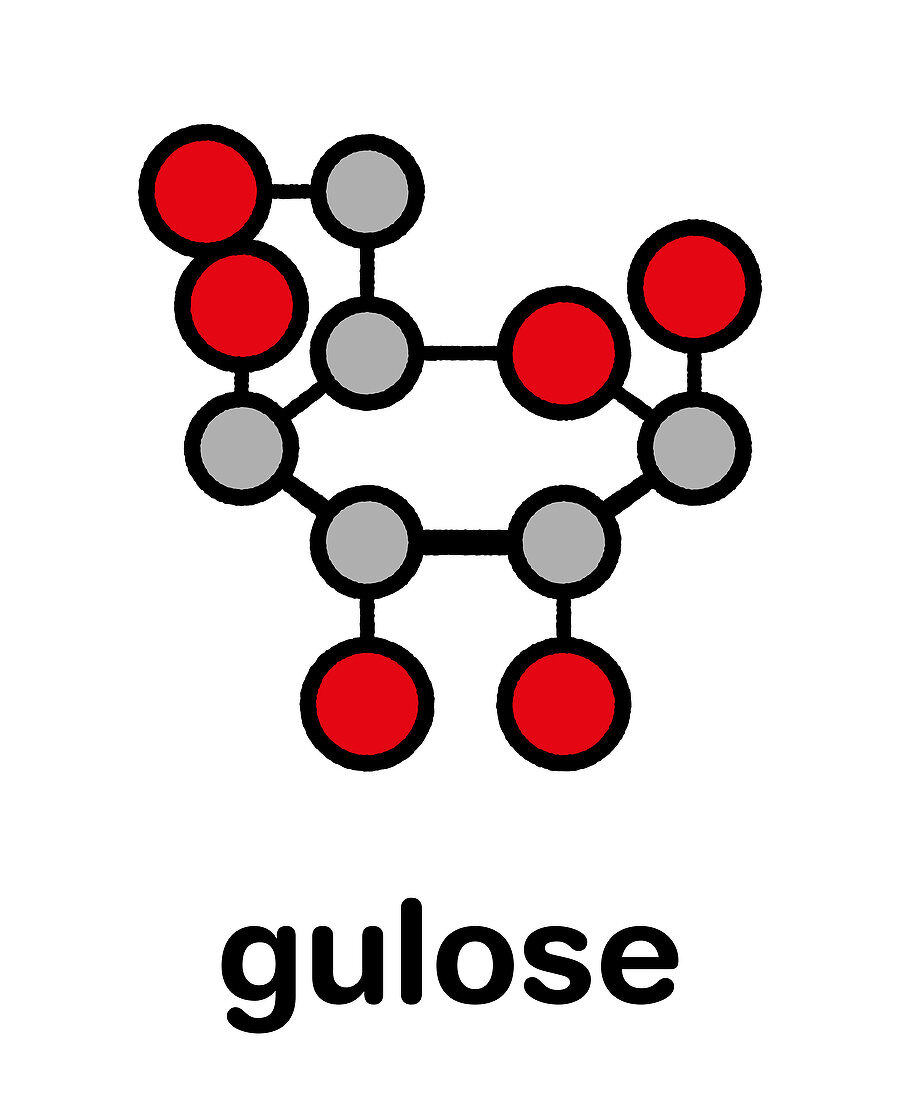 Gulose molecule, illustration