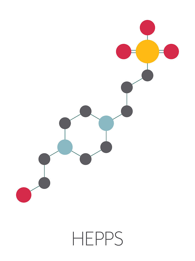 HEPPS buffering agent molecule, illustration