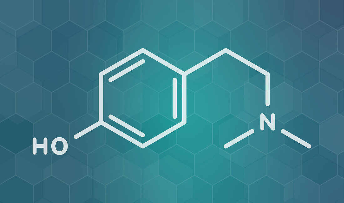 Hordenine stimulant molecule, illustration