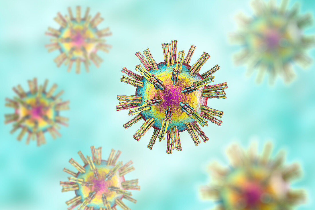 Herpes simplex virus, illustration