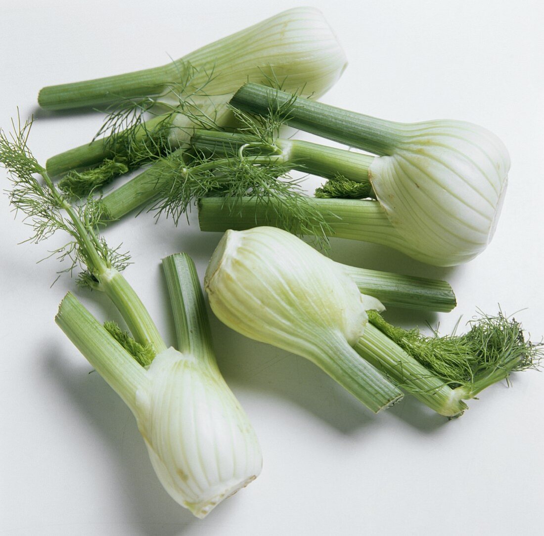 Many Fennel