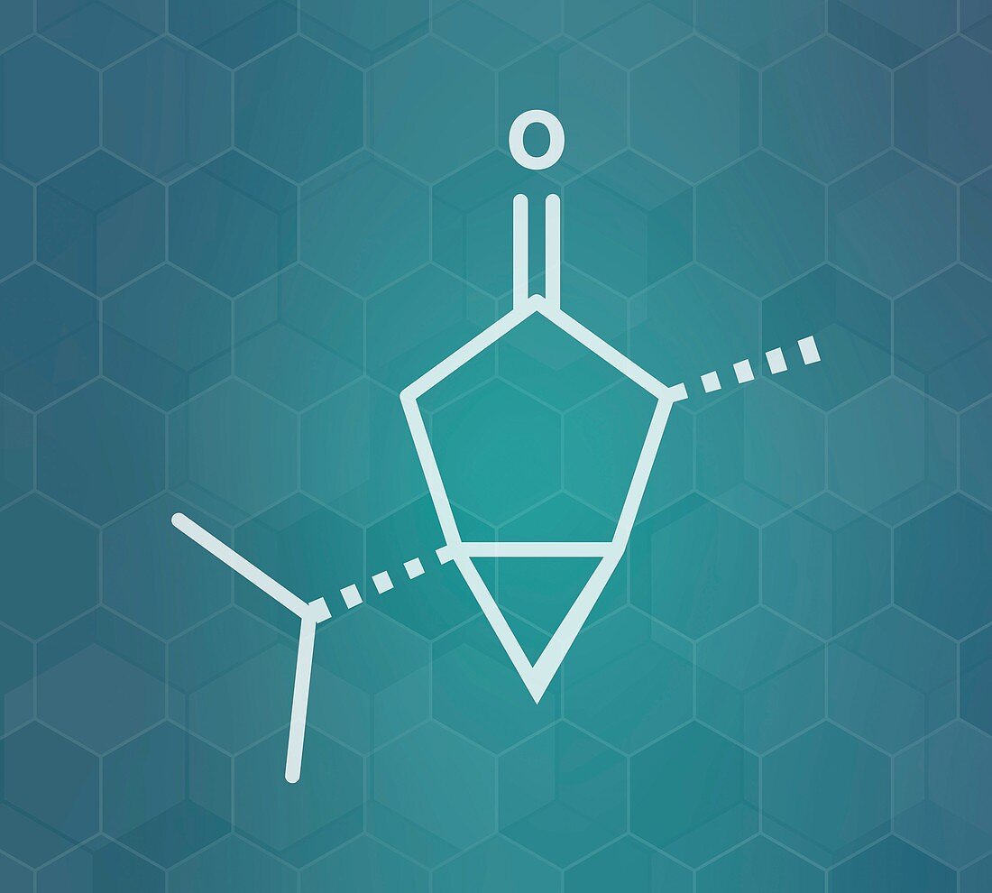 Thujone absinthe molecule, illustration