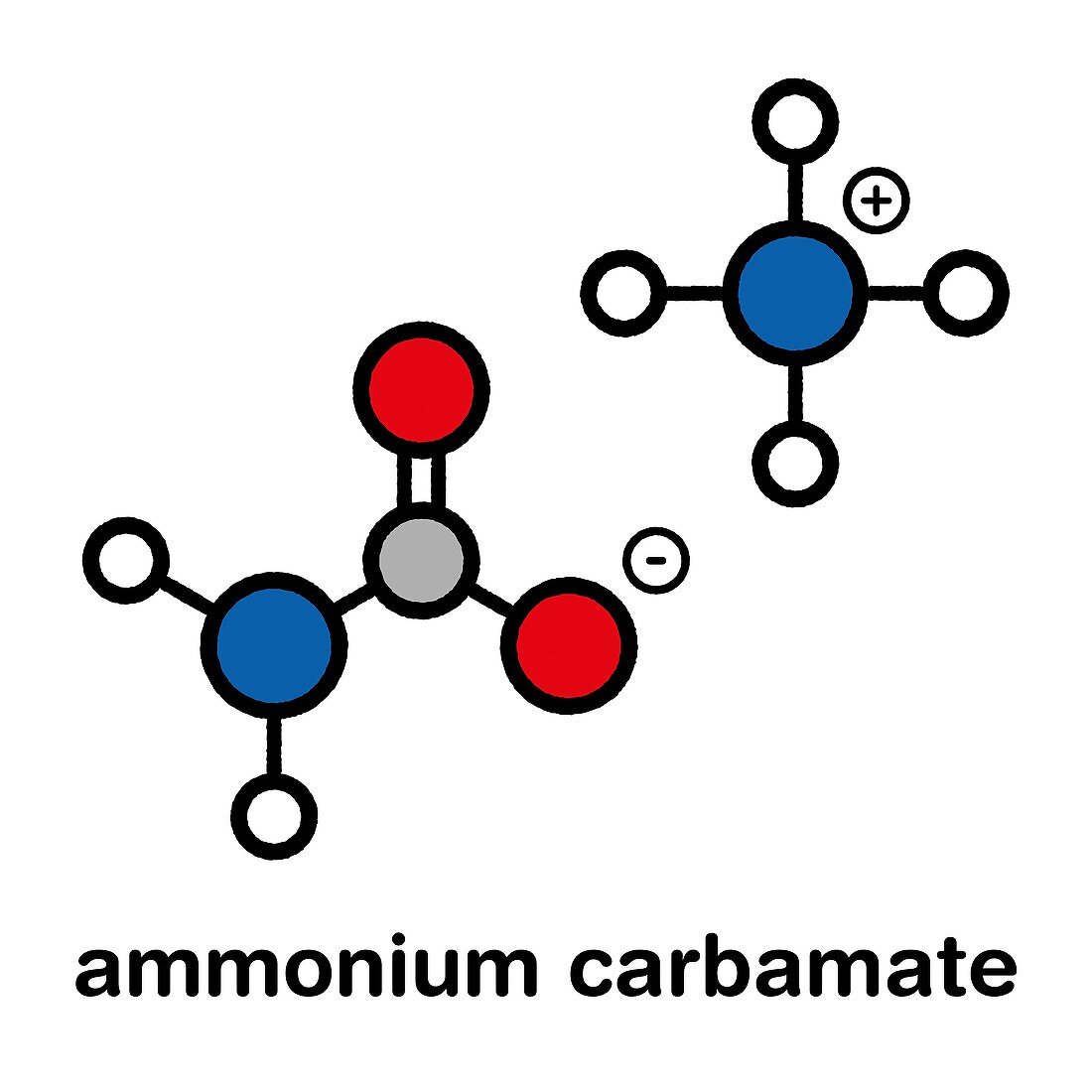 Ammonium carbamate molecule, illustration