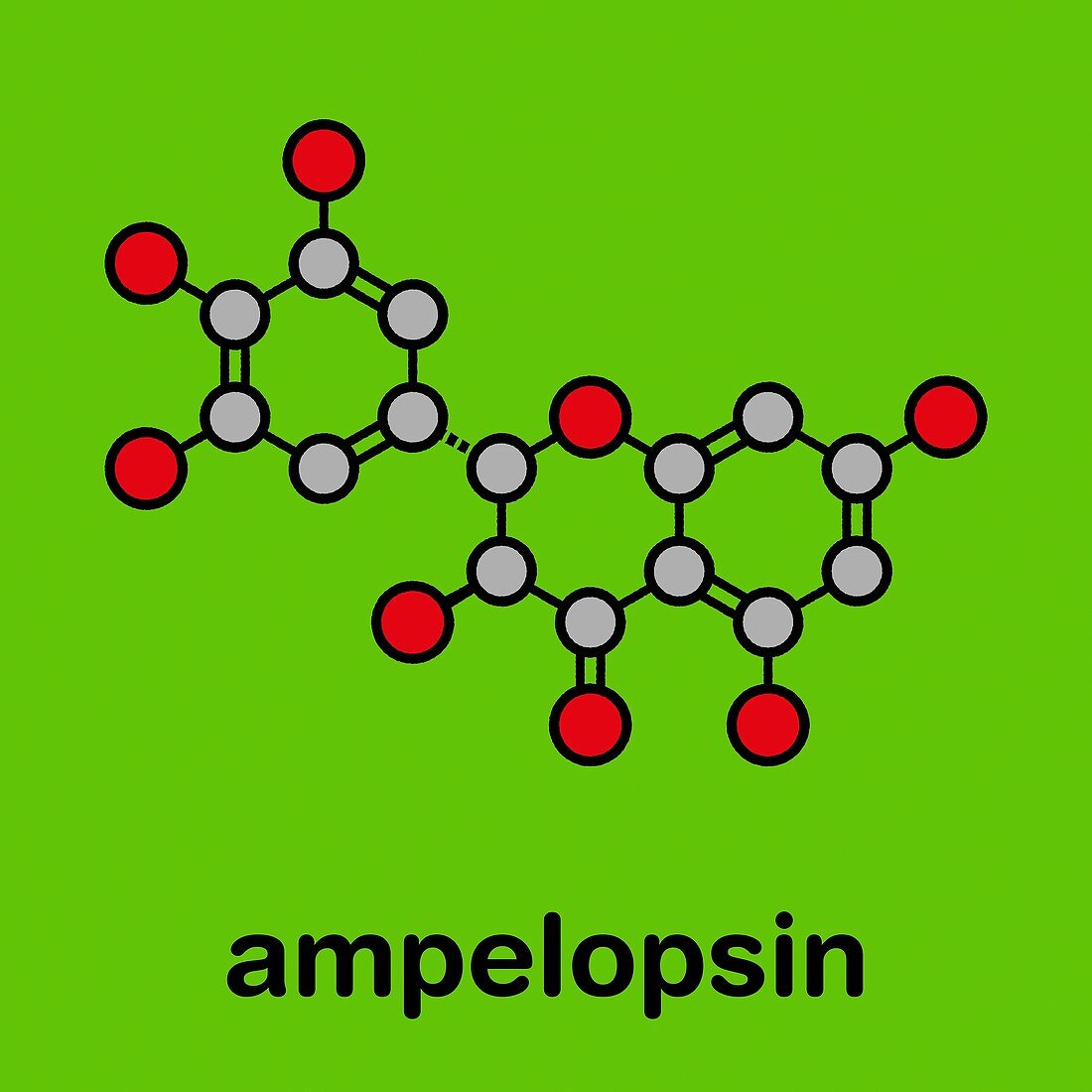 Dihydromyricetin or herbal drug molecule, illustration