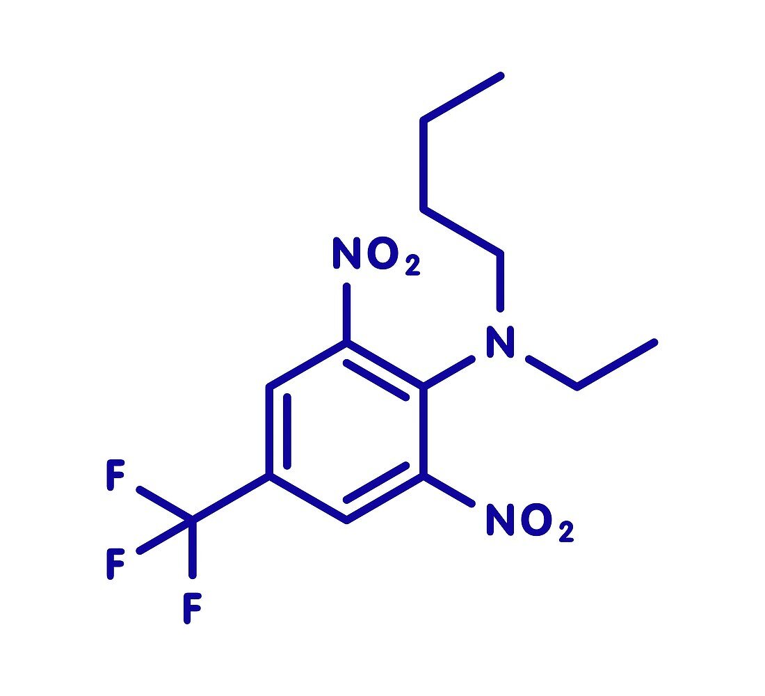 Benfluralin herbicide molecule, illustration