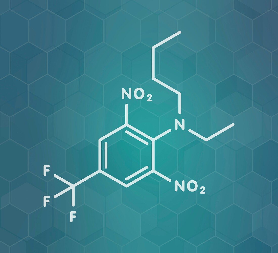 Benfluralin herbicide molecule, illustration