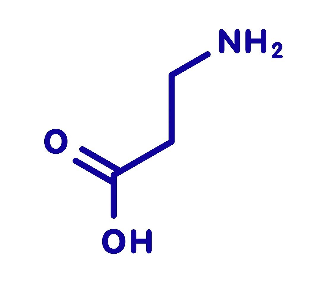Beta-alanine molecule, illustration