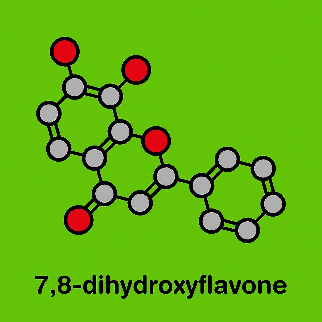 7, 8-Dihydroxyflavone molecule, illustration