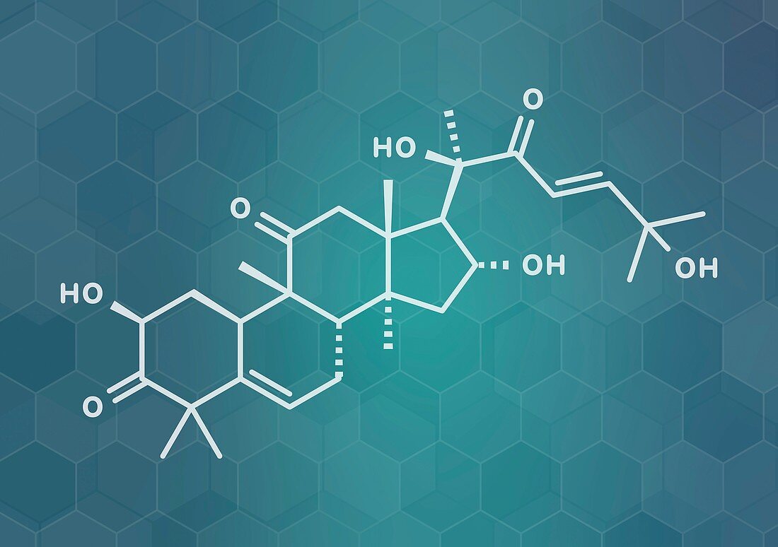 Cucurbitacin D bitter molecule, illustration