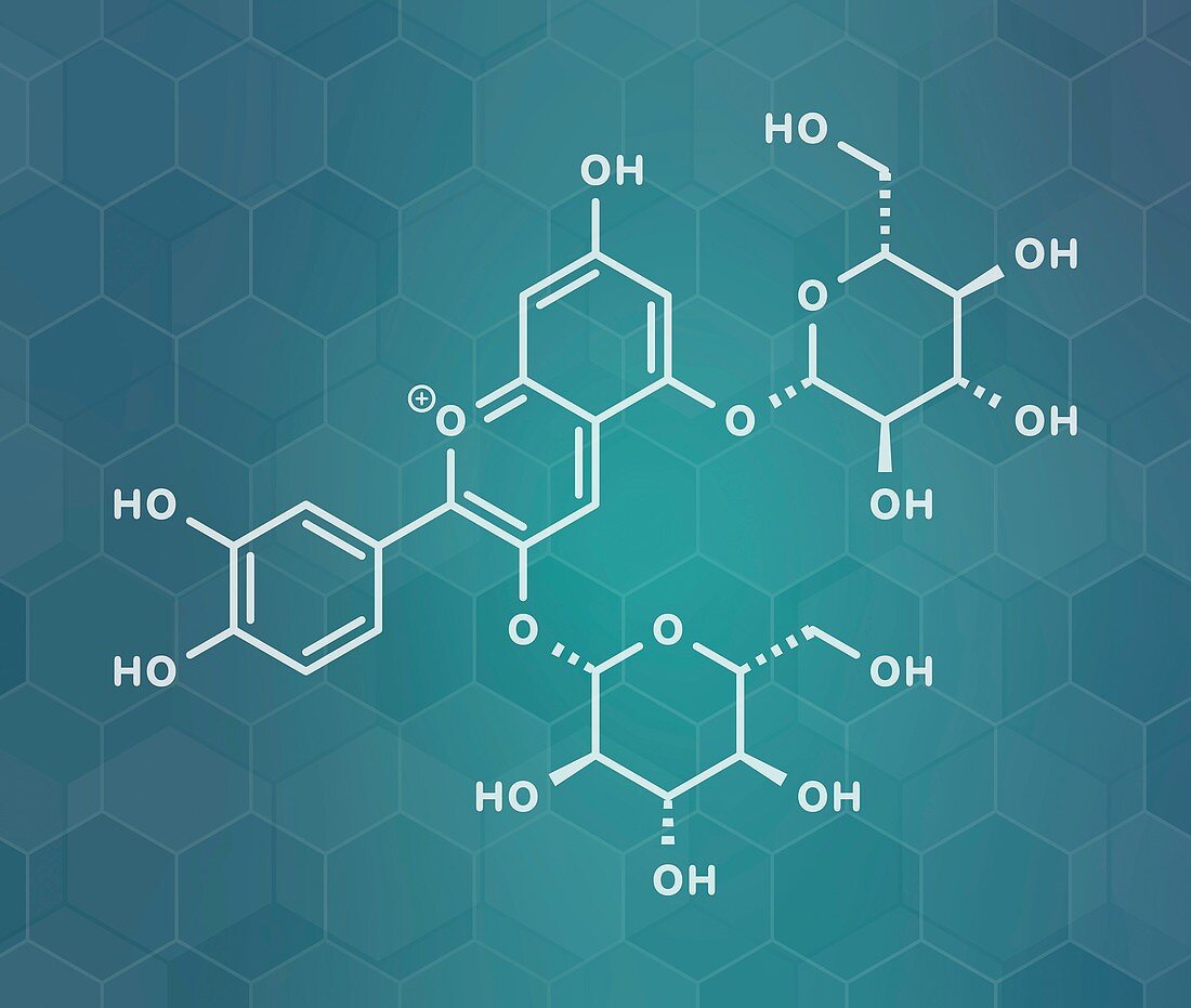 Cyanin molecule, illustration