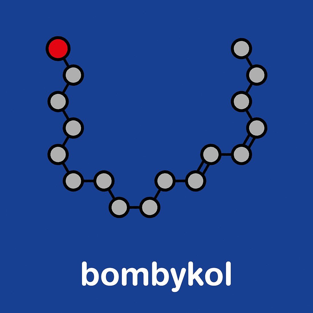Bombykol insect pheromone molecule, illustration