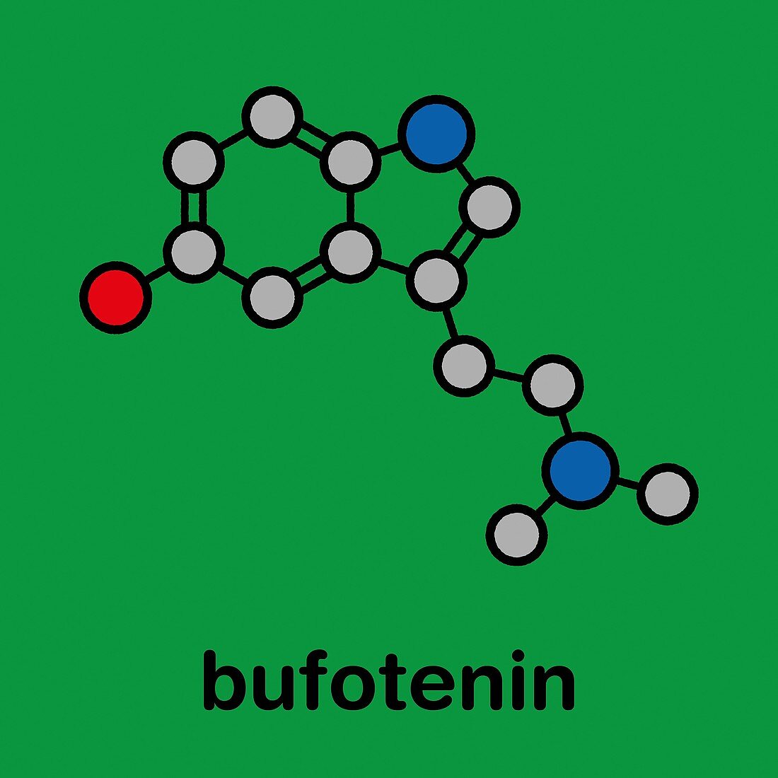 Bufotenin molecule, illustration