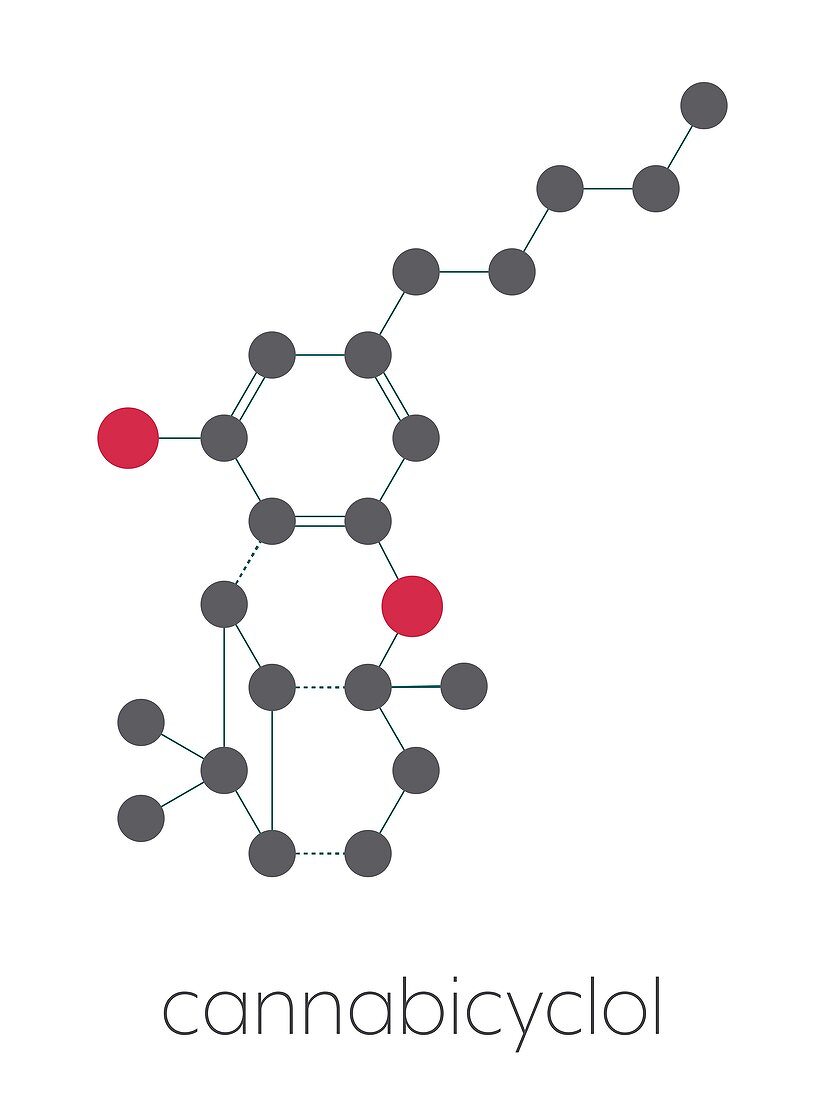 Cannabicyclol cannabinoid molecule, illustration