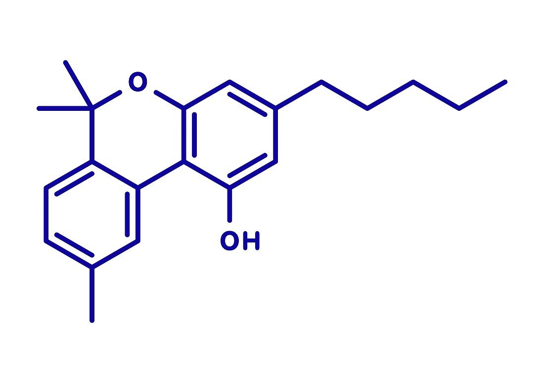 Cannabinol cannabinoid molecule, illustration