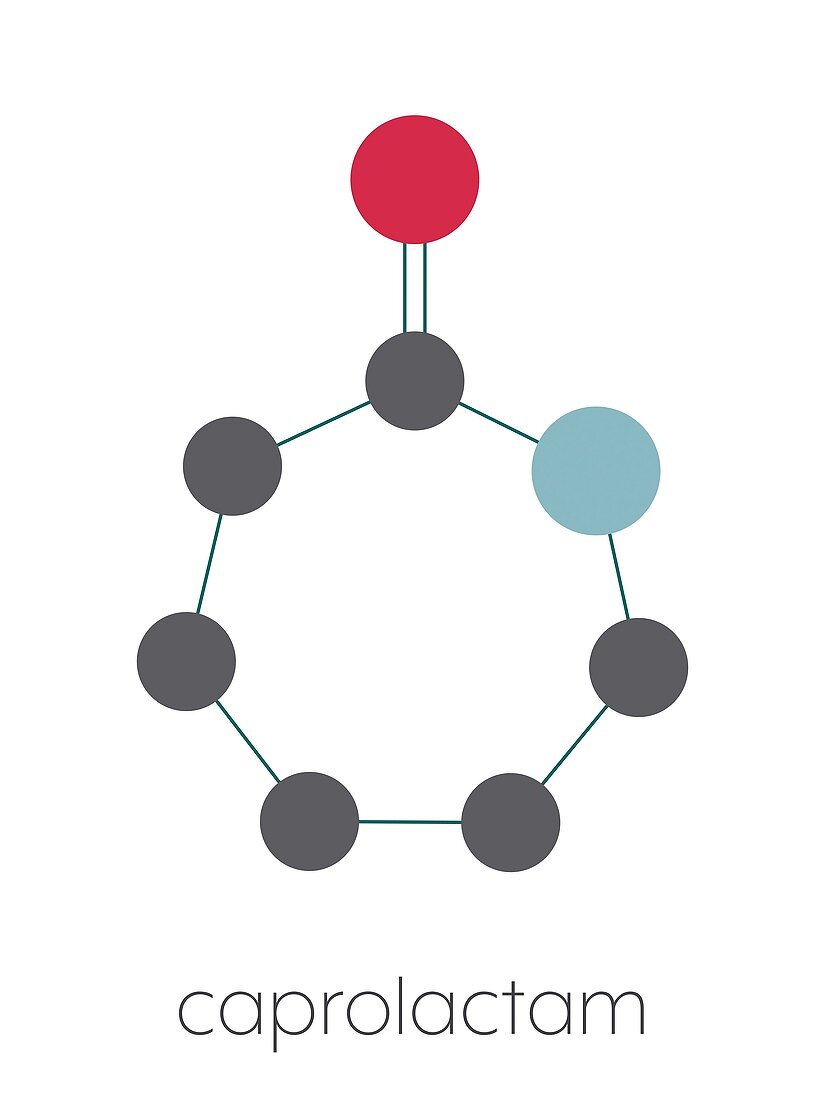 Caprolactam molecule, illustration