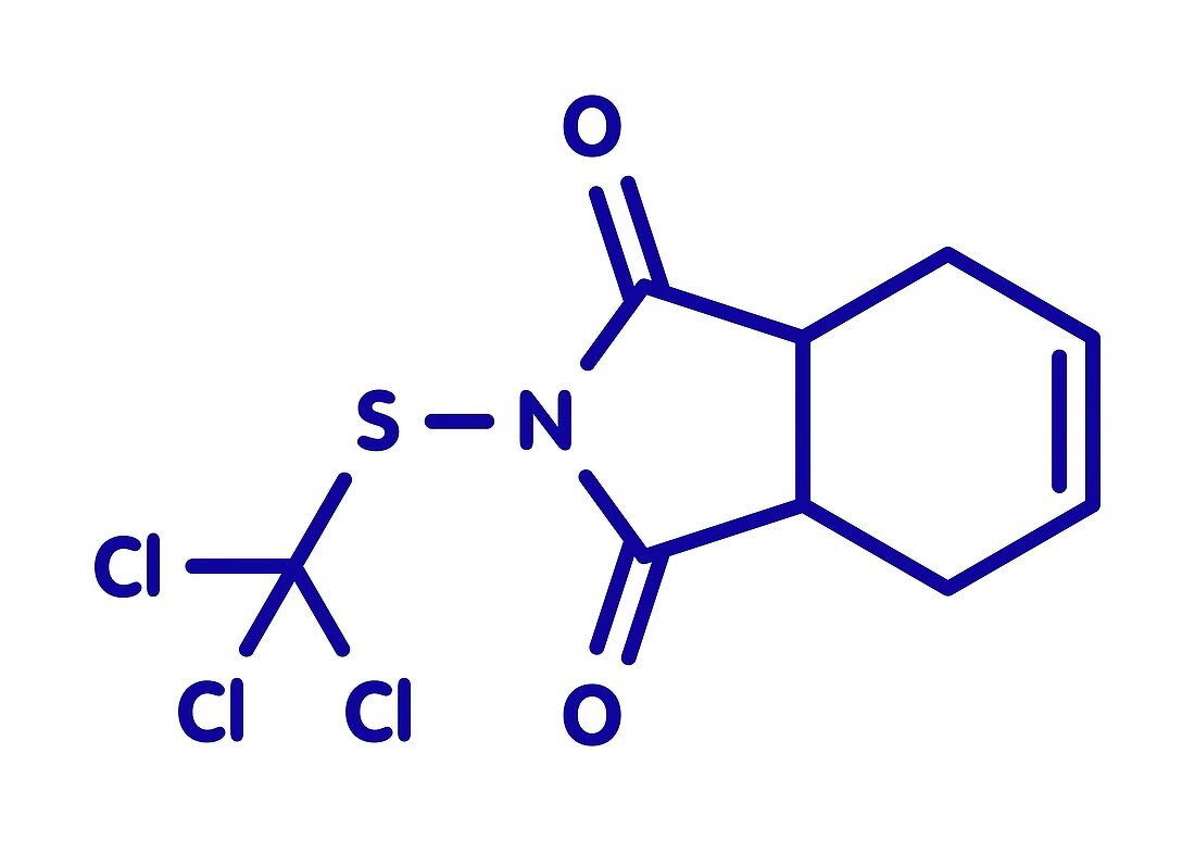 Captan fungicide molecule, illustration